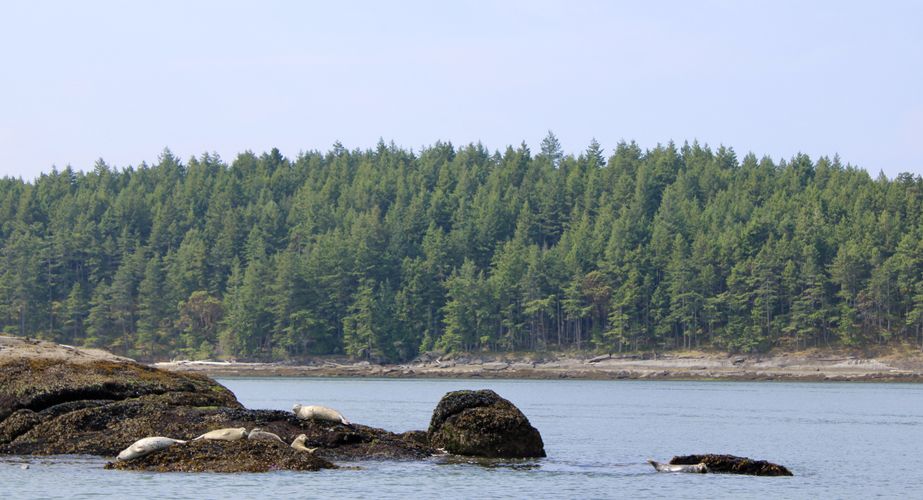 28 38 Canada 70 28 38 Canada 70